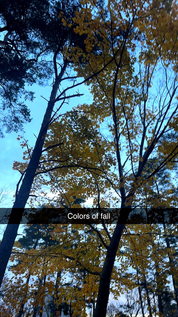 mathilda_bergs image ~ Altpins