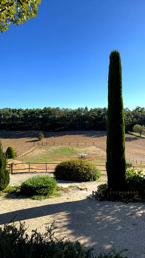 mathilda_bergs image ~ Altpins