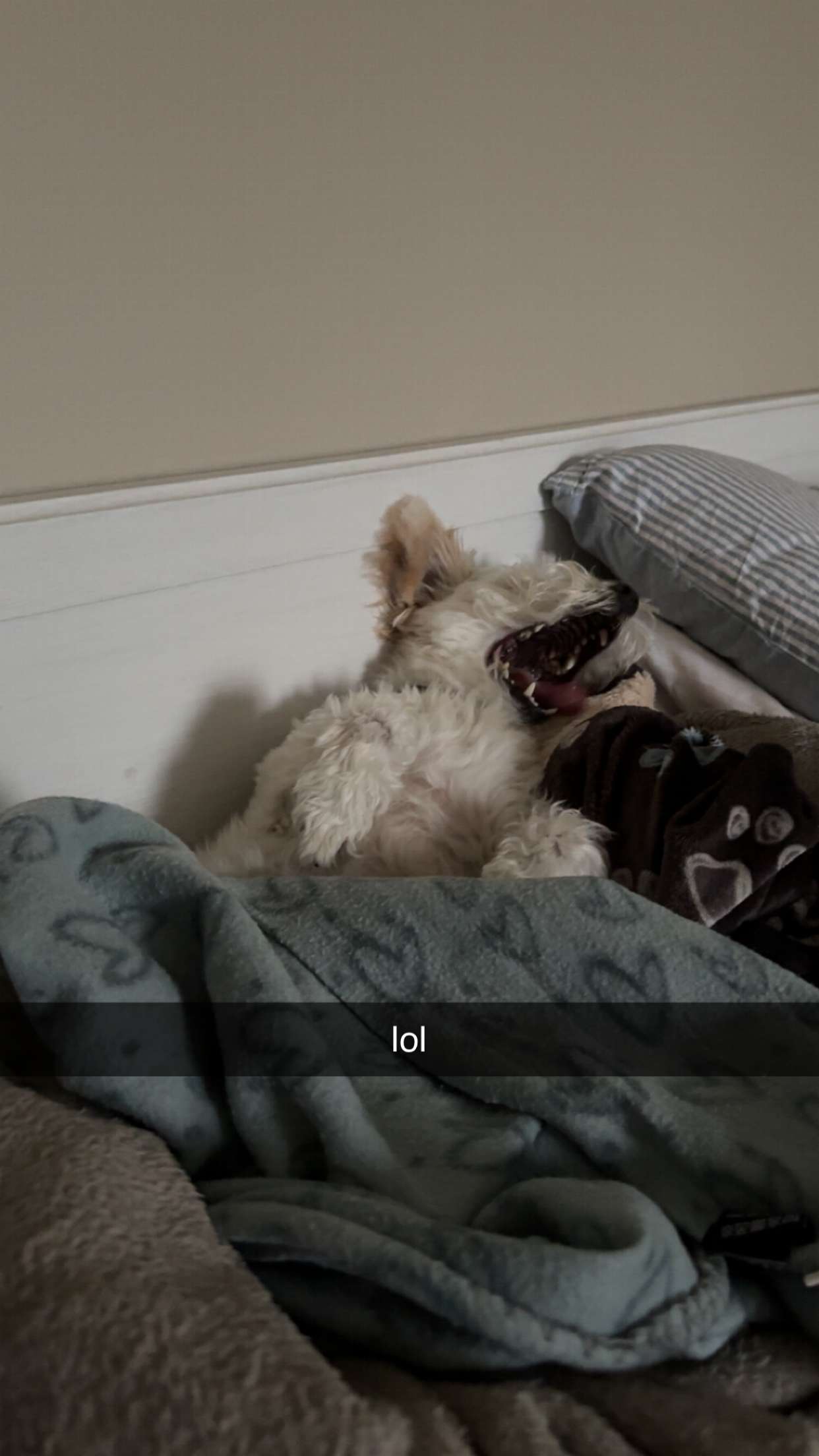 mathilda_bergs snapchat image archive image