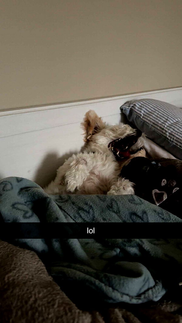 mathilda_bergs image ~ Altpins