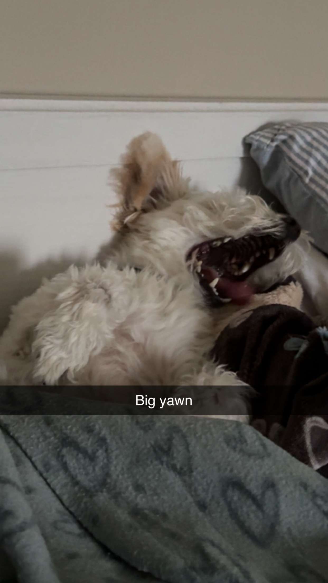 mathilda_bergs snapchat image archive image