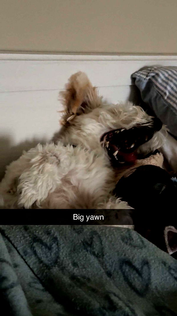 mathilda_bergs image ~ Altpins