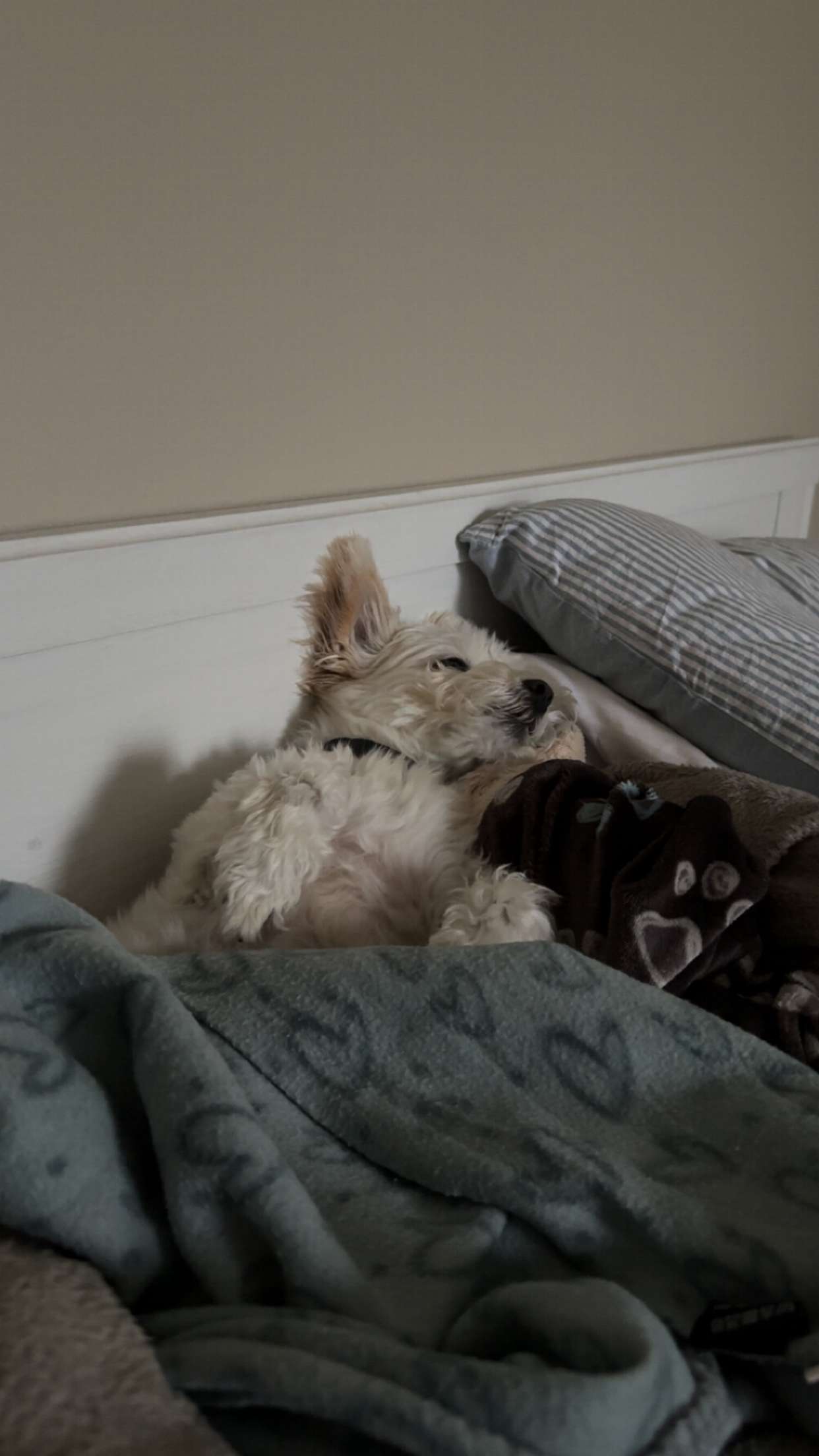 mathilda_bergs snapchat image archive image