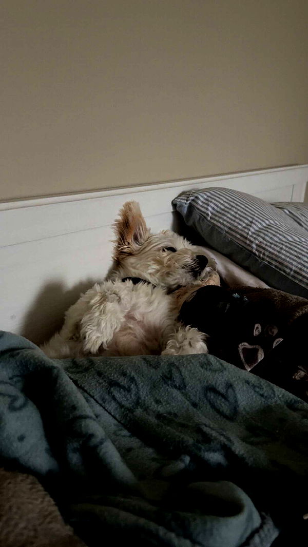 mathilda_bergs image ~ Altpins