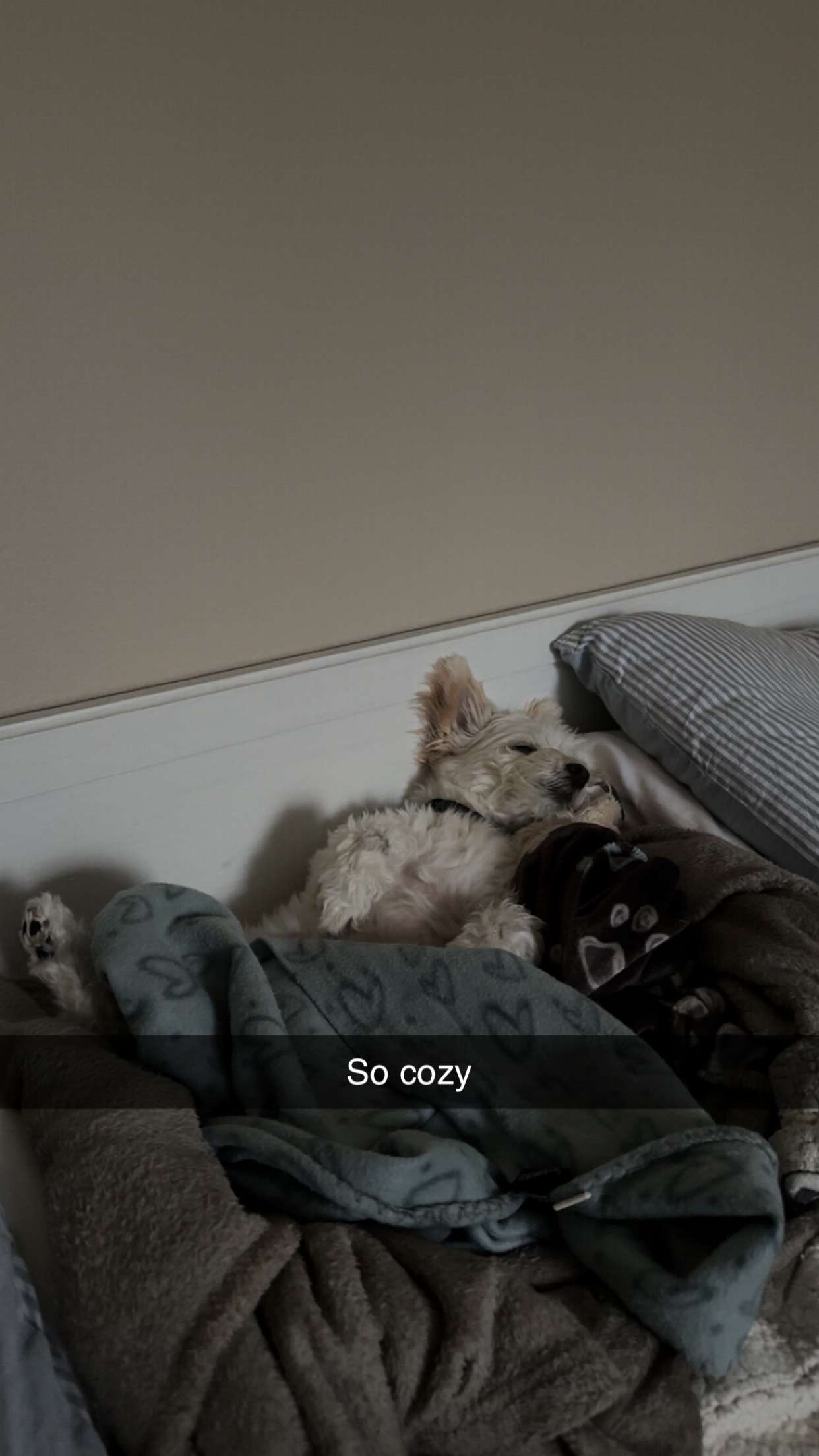 mathilda_bergs snapchat image archive image