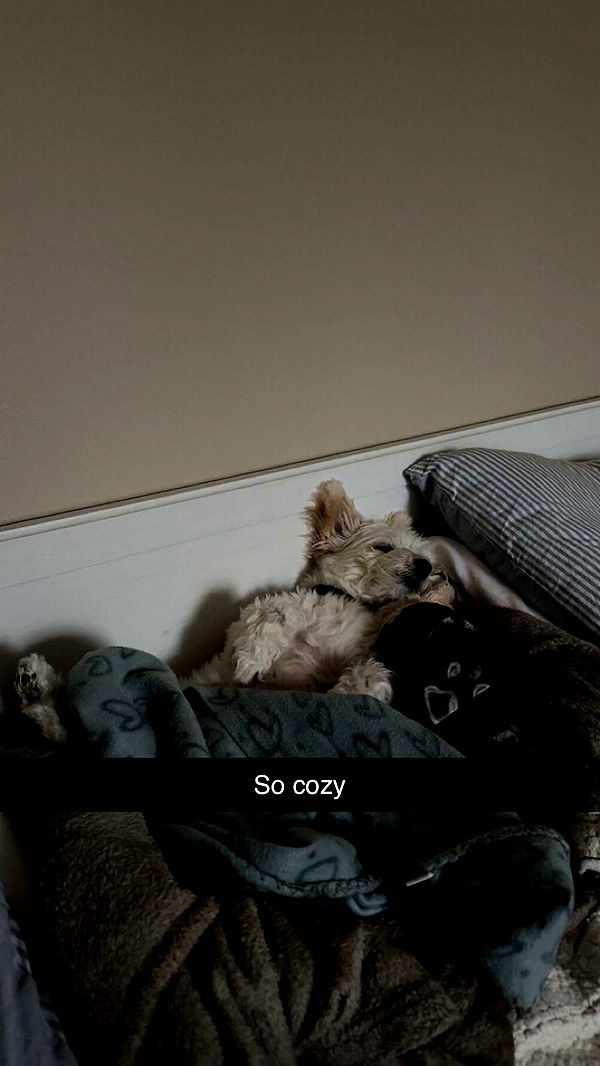 mathilda_bergs image ~ Altpins