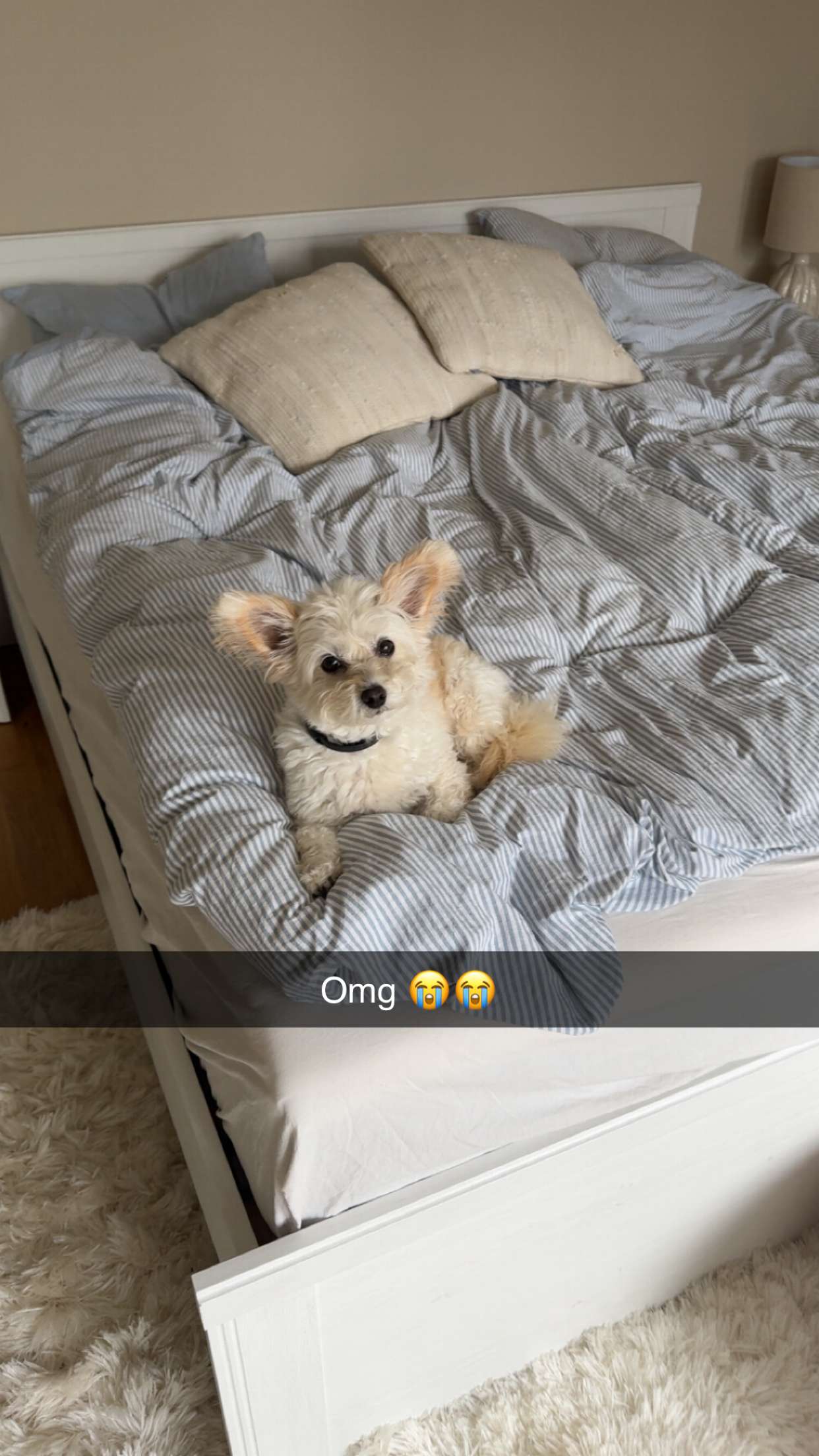 mathilda_bergs snapchat image archive image