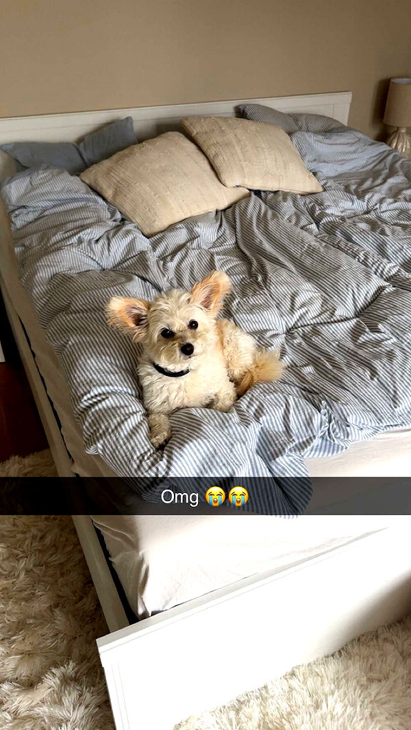 mathilda_bergs image ~ Altpins