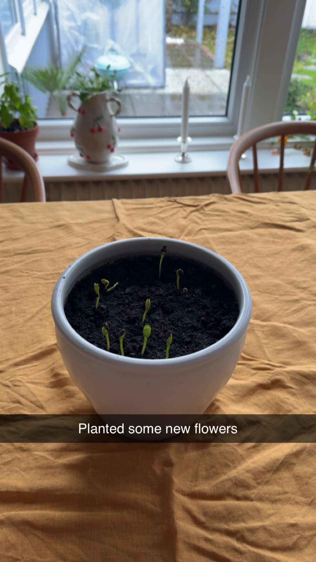 mathilda_bergs snapchat image archive image