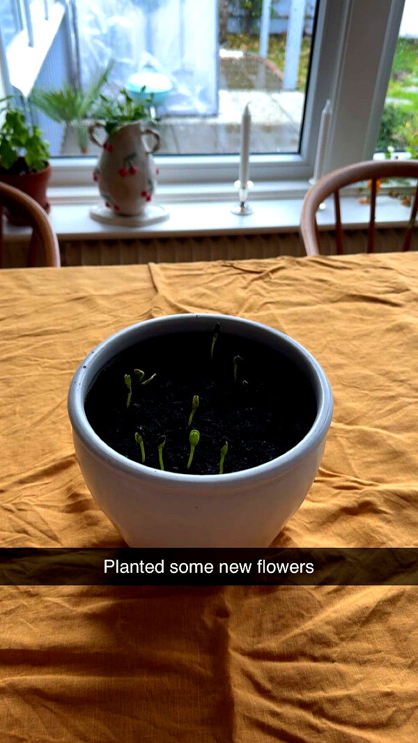 mathilda_bergs image ~ Altpins