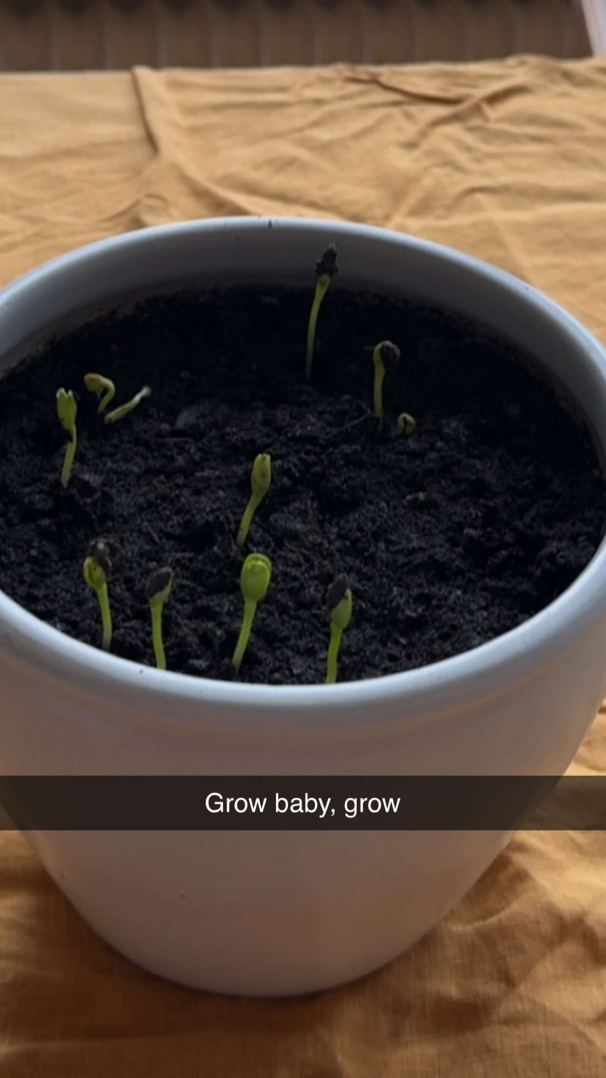 mathilda_bergs snapchat image archive image