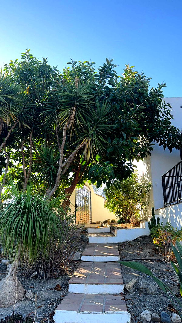 mathilda_bergs image ~ Altpins