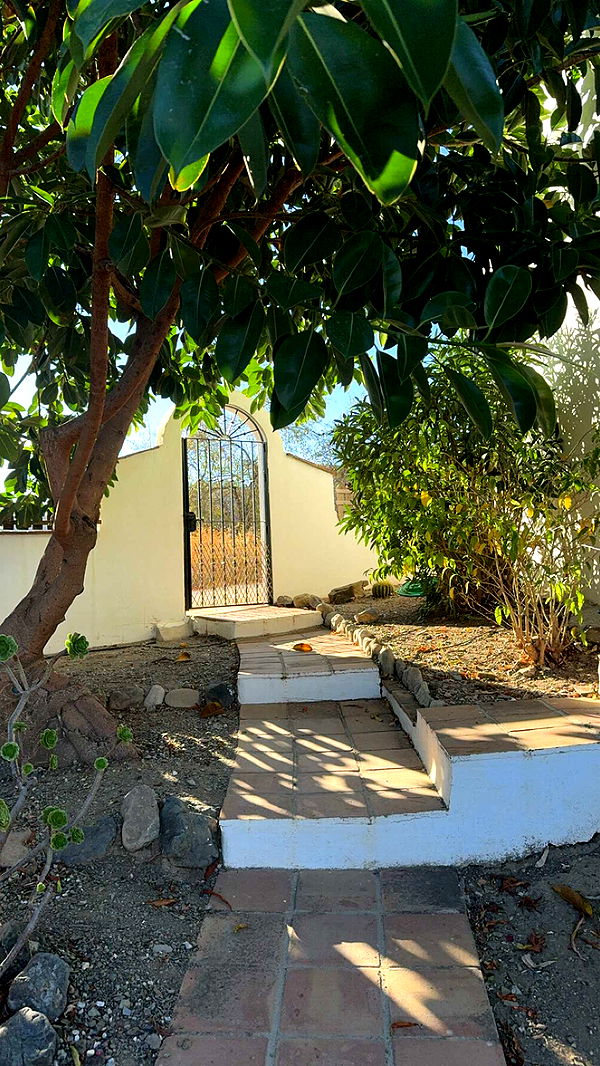 mathilda_bergs image ~ Altpins