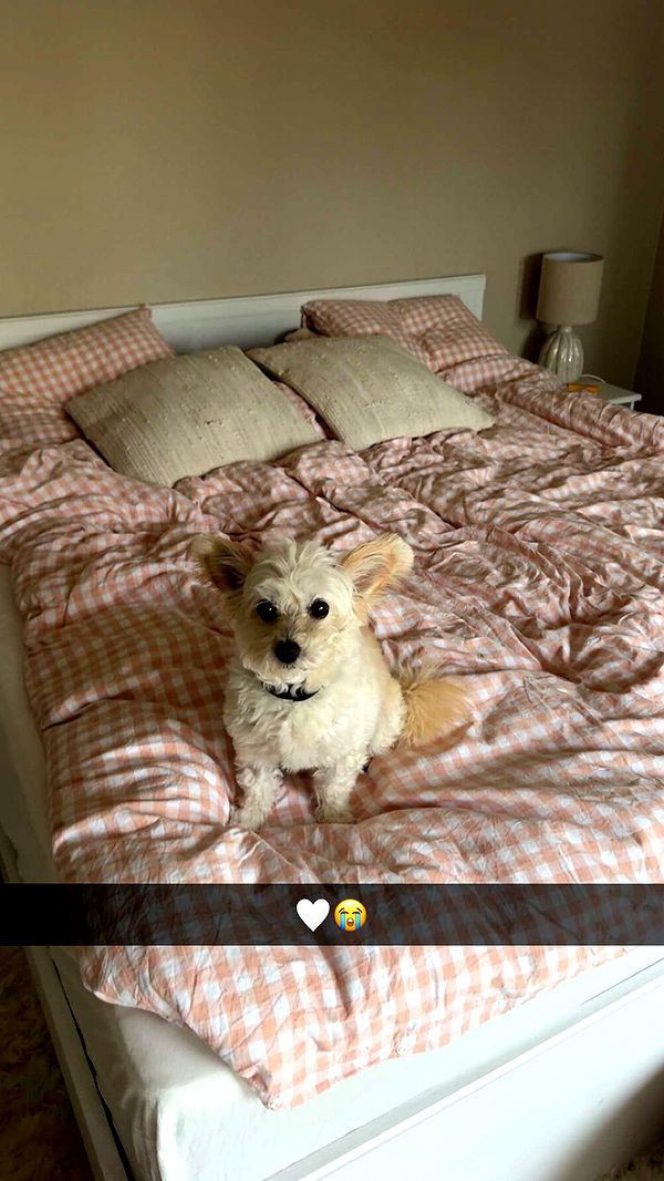 mathilda_bergs image ~ Altpins