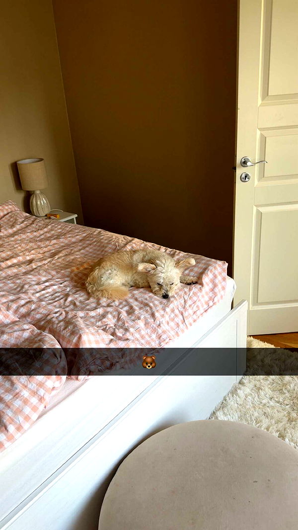 mathilda_bergs image ~ Altpins