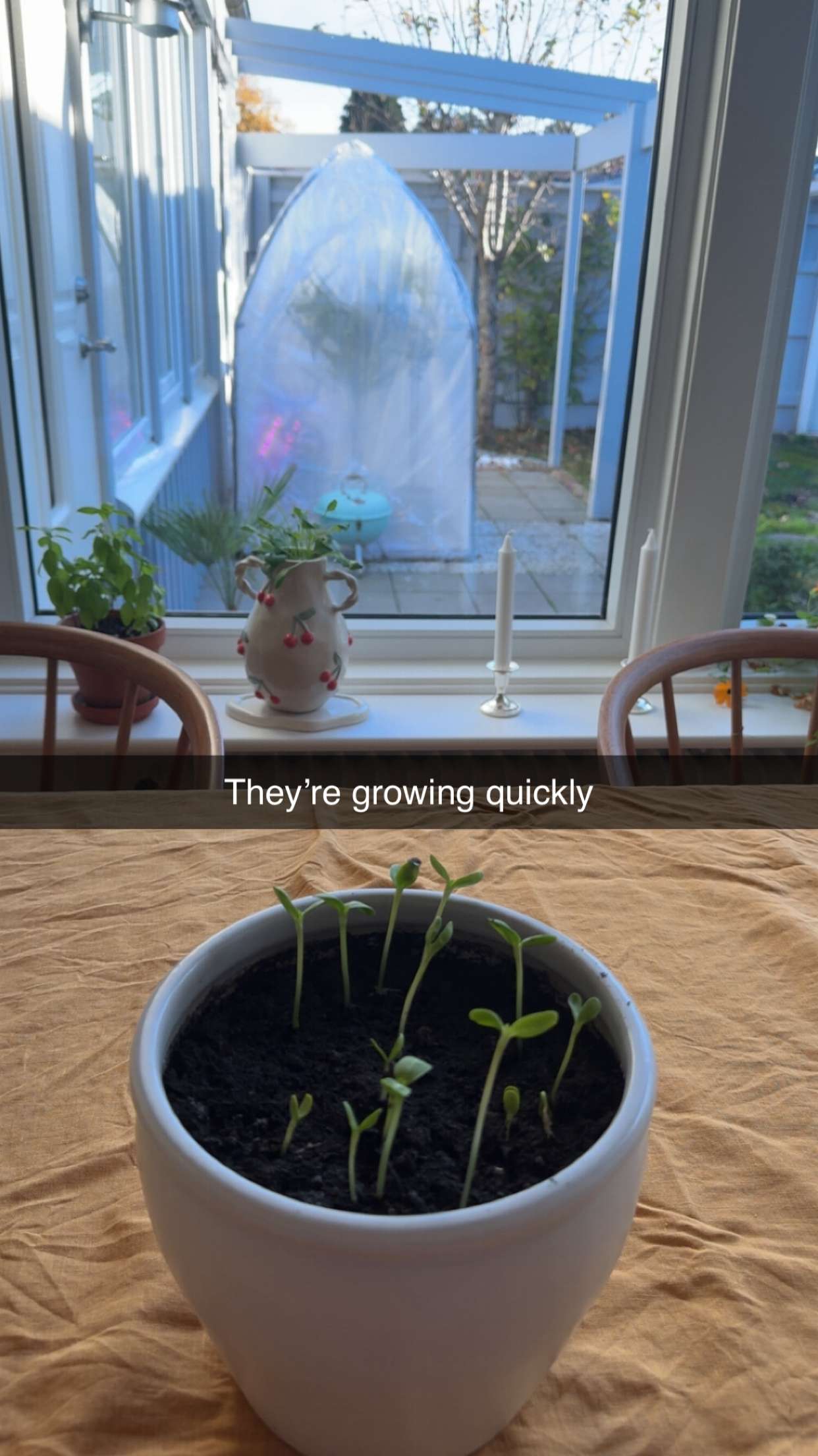 mathilda_bergs snapchat image archive image