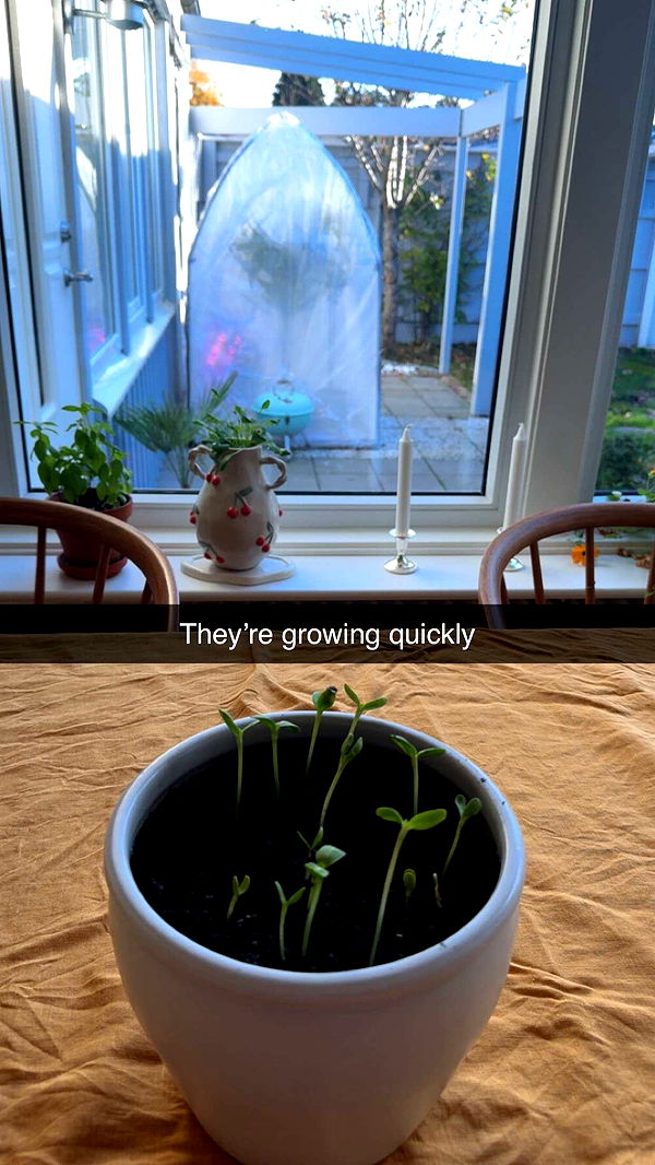 mathilda_bergs image ~ Altpins