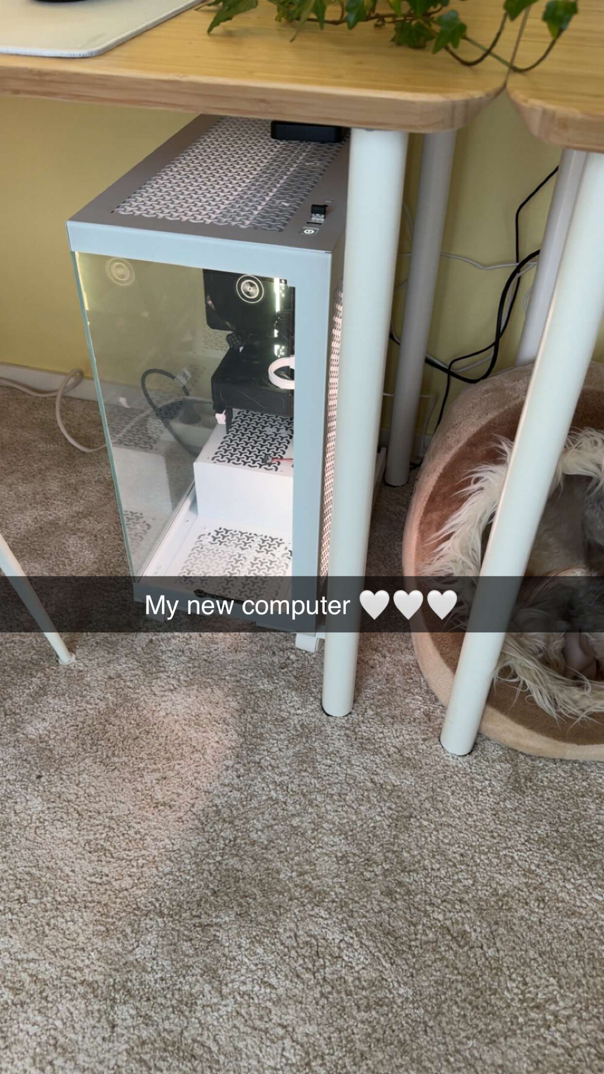 mathilda_bergs snapchat image archive image