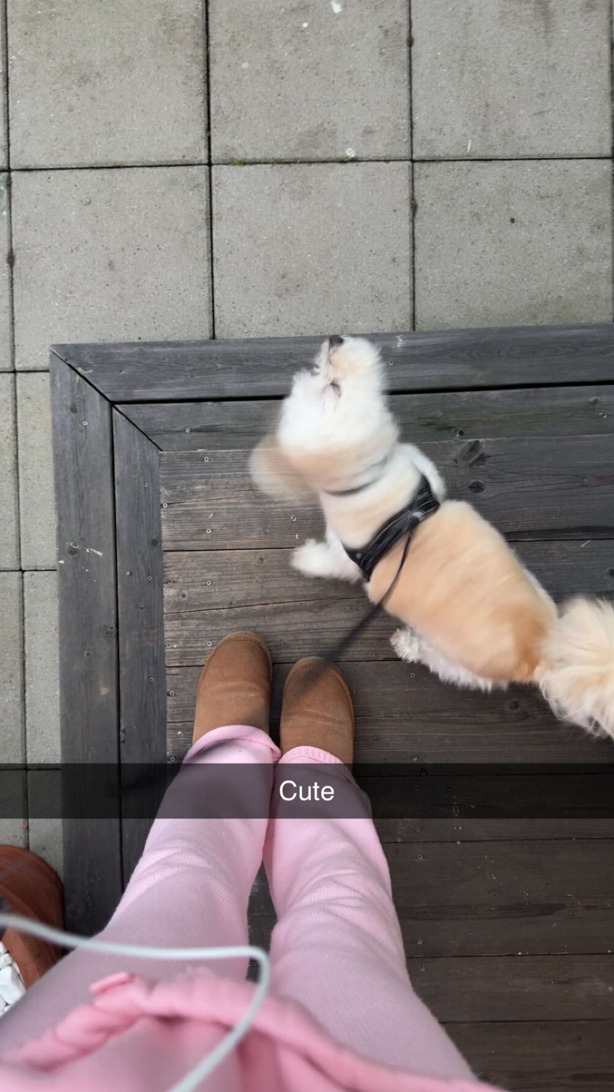 mathilda_bergs snapchat image archive image