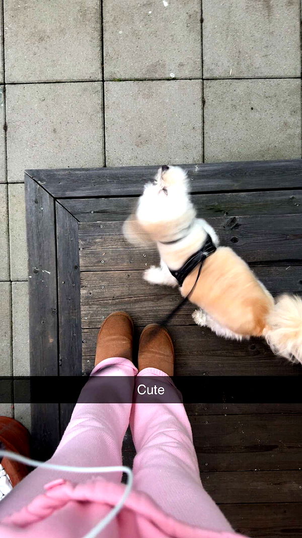 mathilda_bergs image ~ Altpins