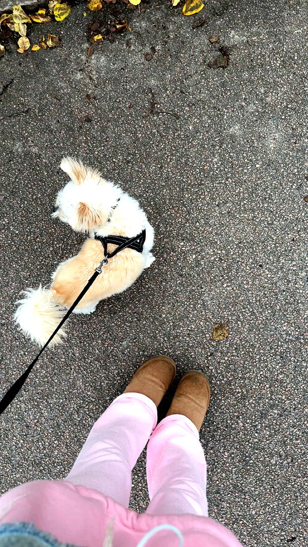 mathilda_bergs image ~ Altpins