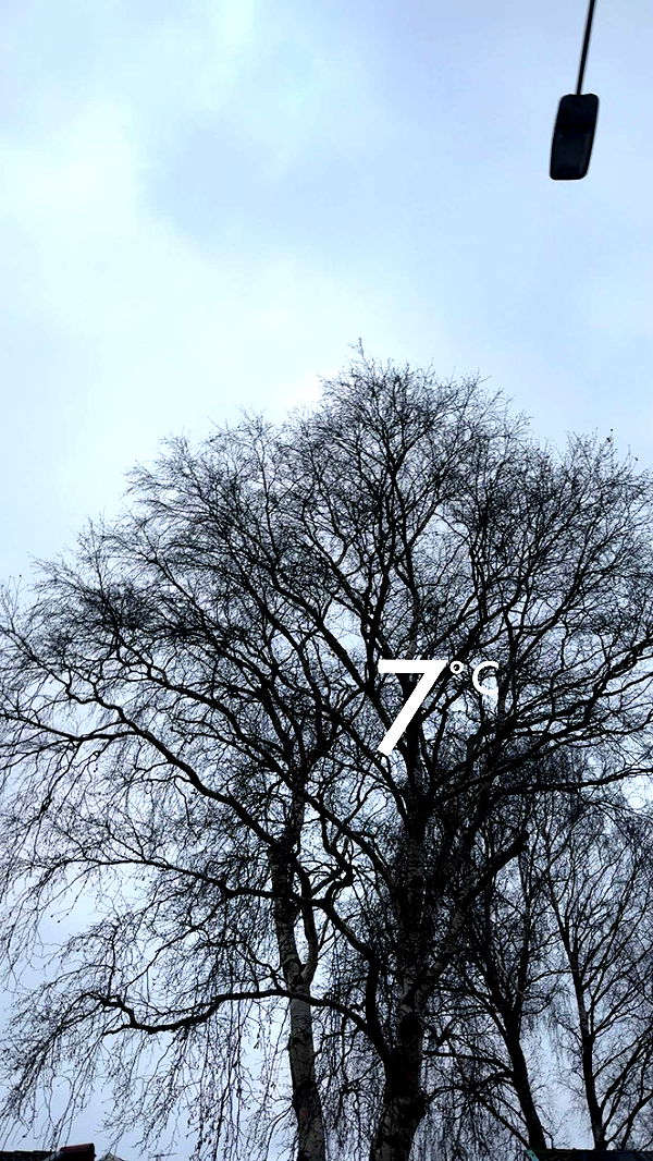 mathilda_bergs image ~ Altpins