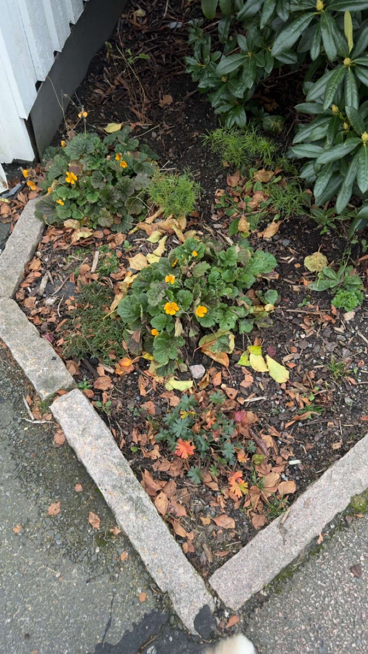 mathilda_bergs snapchat image archive image