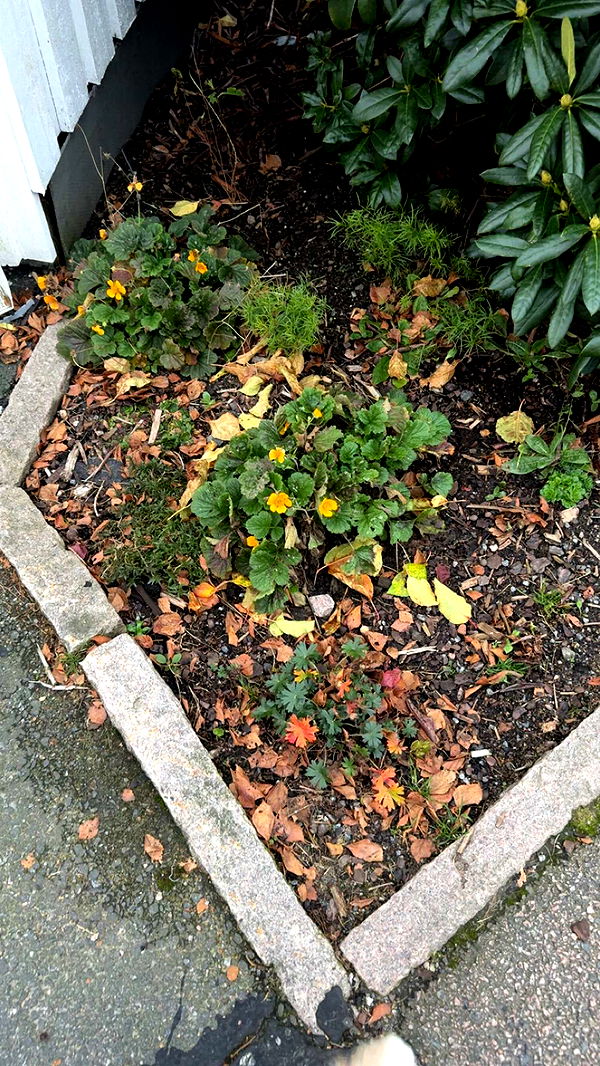 mathilda_bergs image ~ Altpins