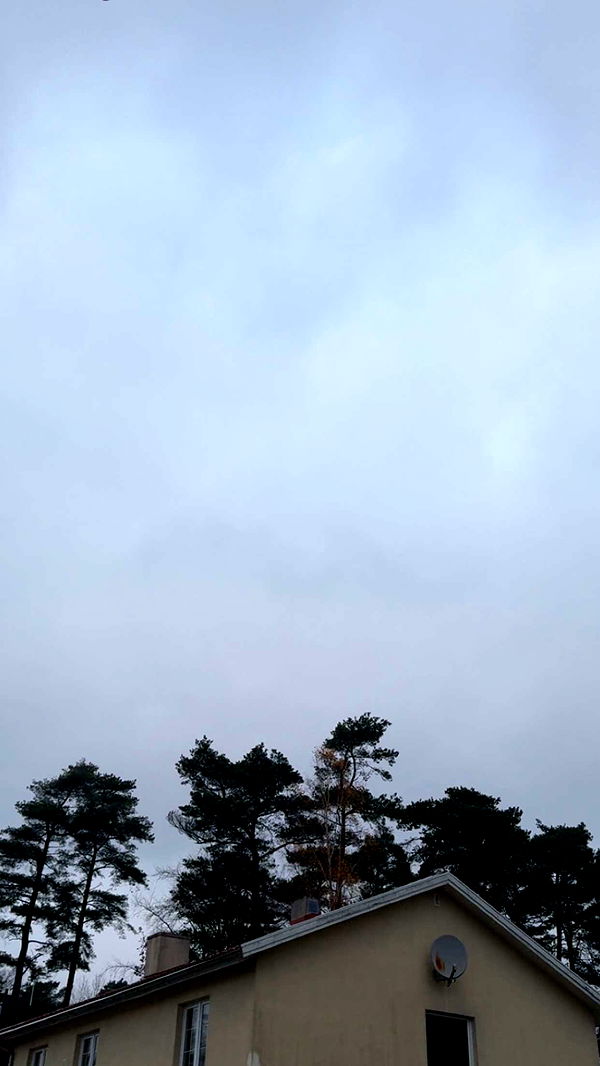 mathilda_bergs image ~ Altpins