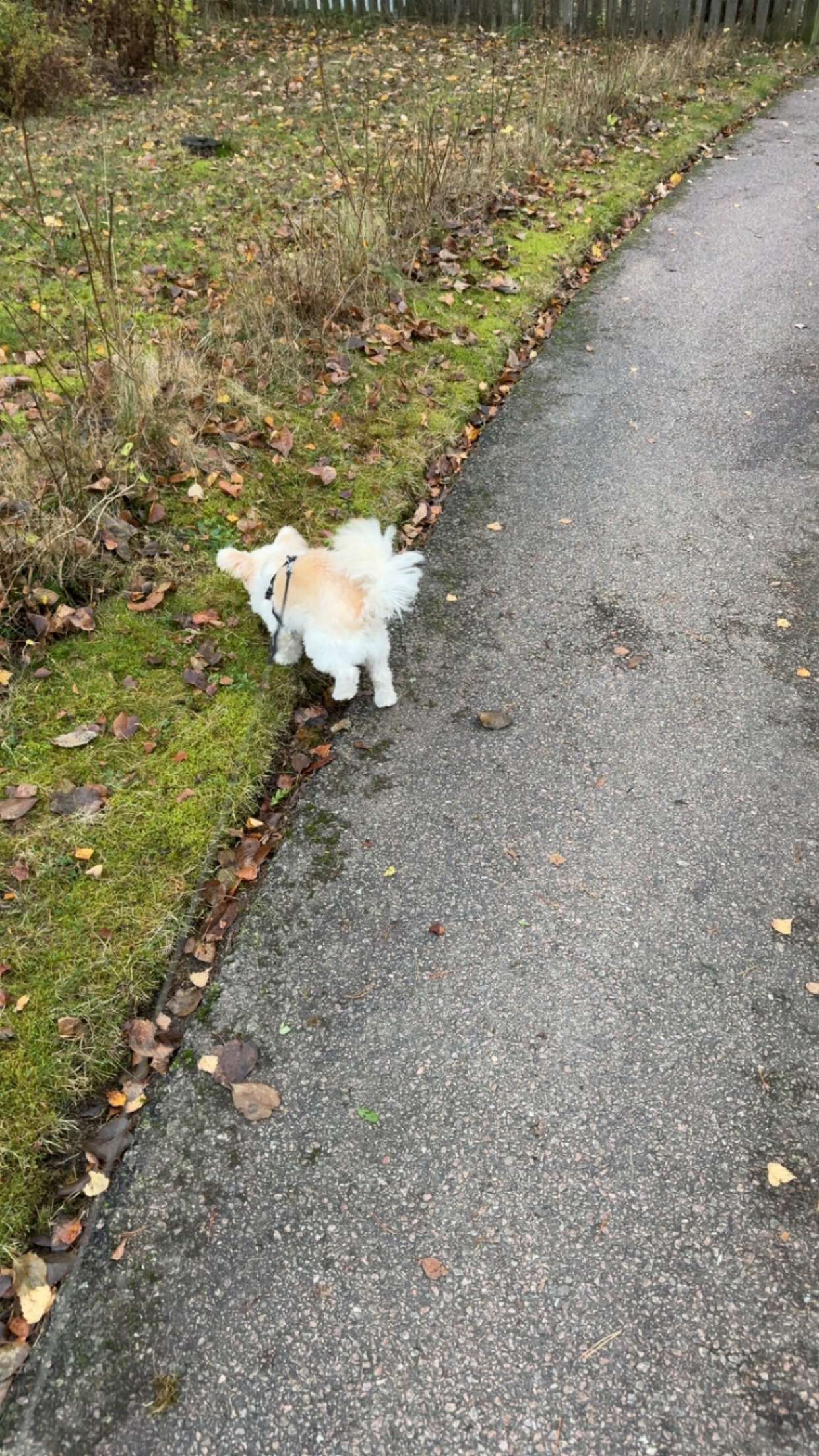 mathilda_bergs snapchat image archive image