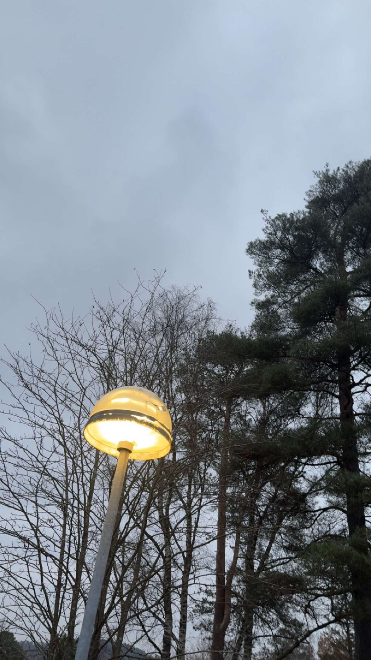 mathilda_bergs snapchat image archive image