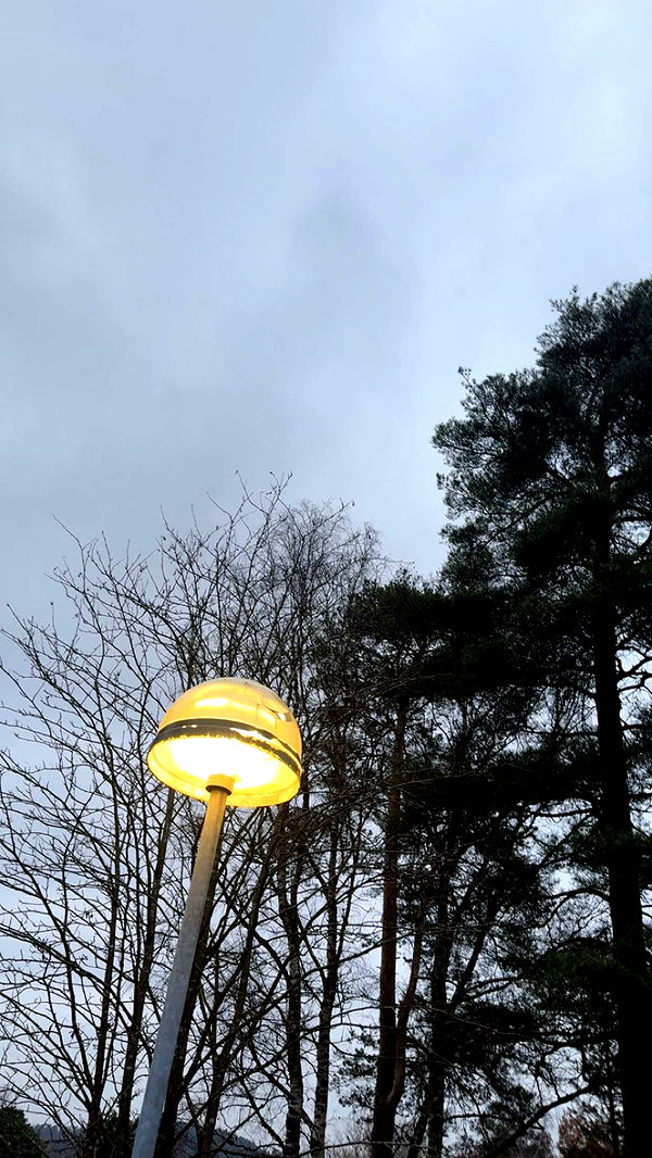 mathilda_bergs image ~ Altpins