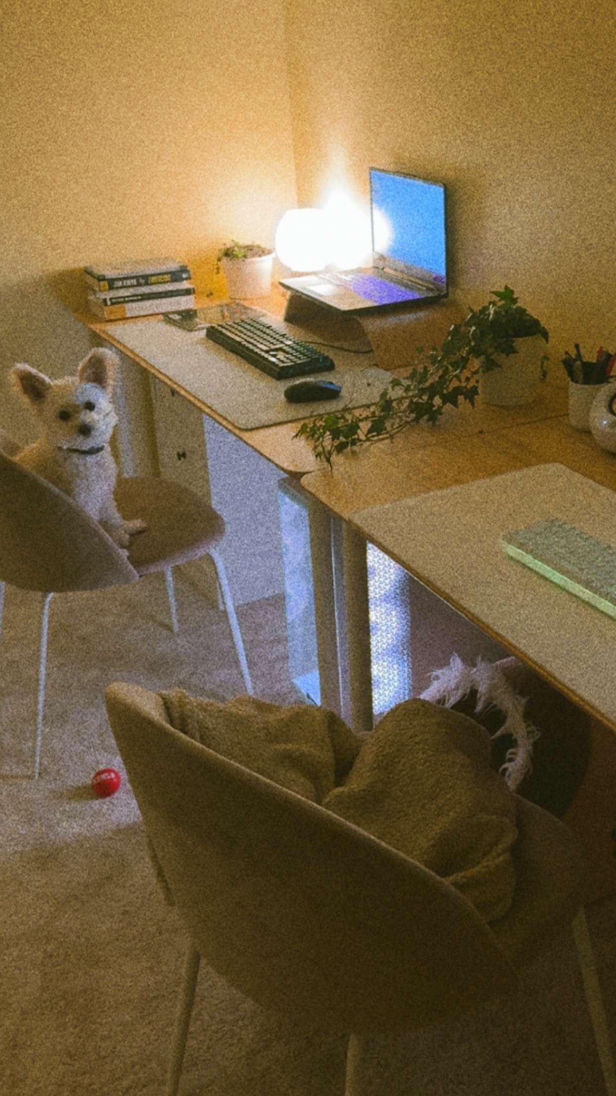 mathilda_bergs snapchat image archive image