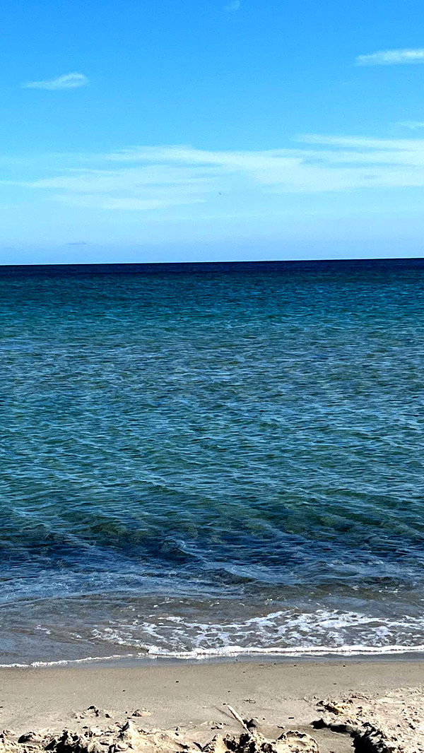 mathilda_bergs image ~ Altpins