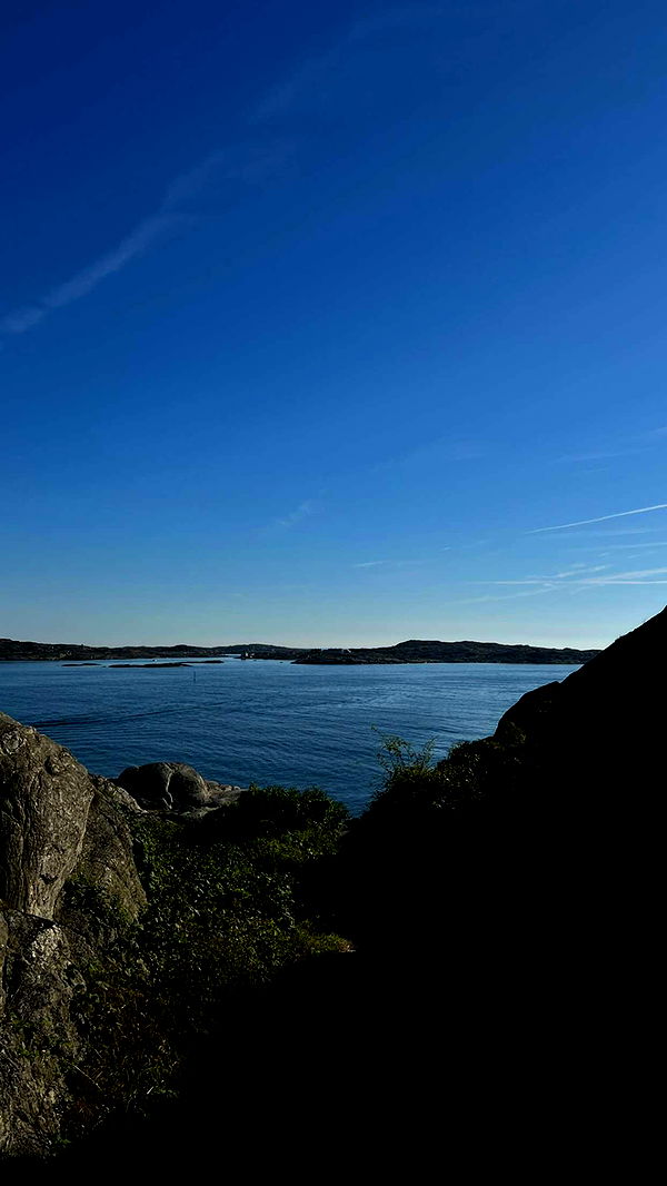 mathilda_bergs image ~ Altpins