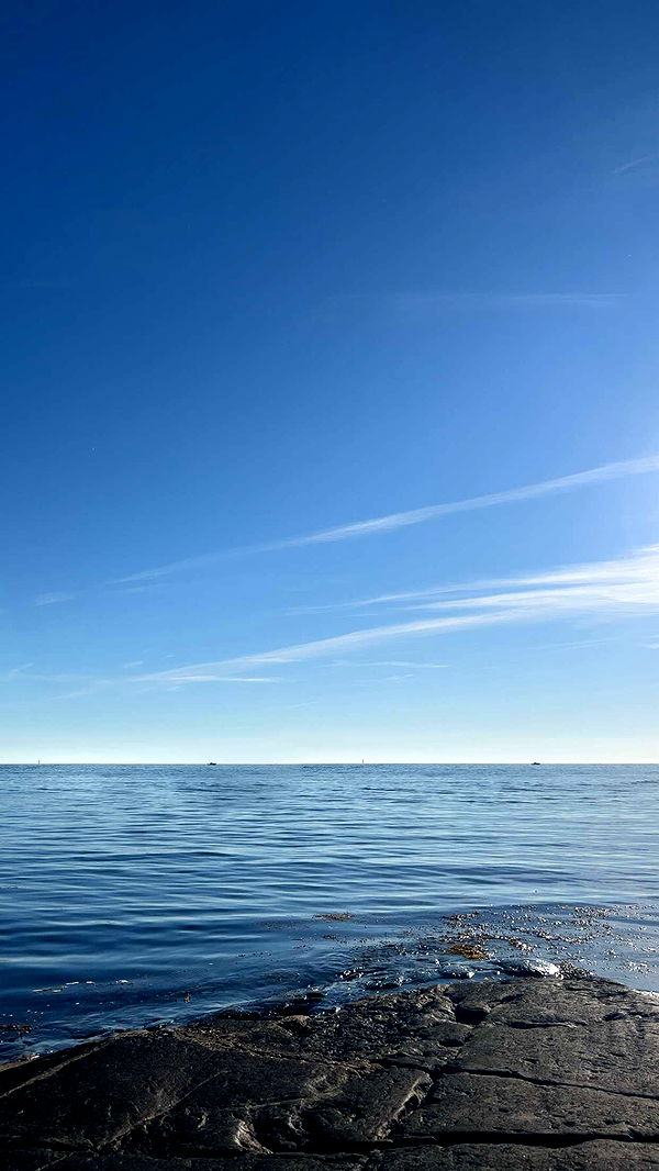 mathilda_bergs image ~ Altpins