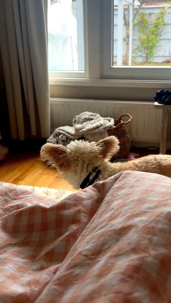 mathilda_bergs image ~ Altpins