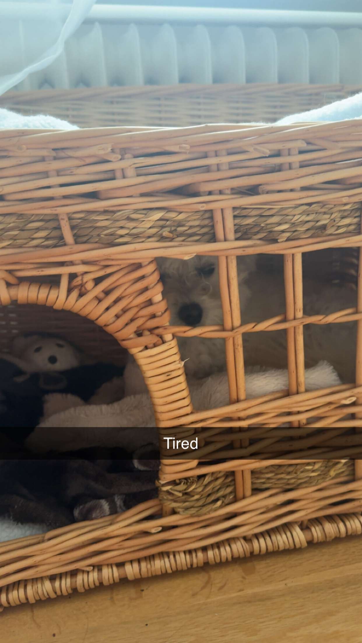 mathilda_bergs snapchat image archive image