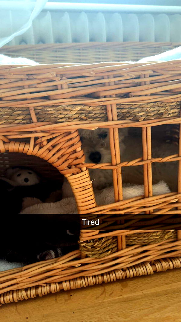 mathilda_bergs image ~ Altpins