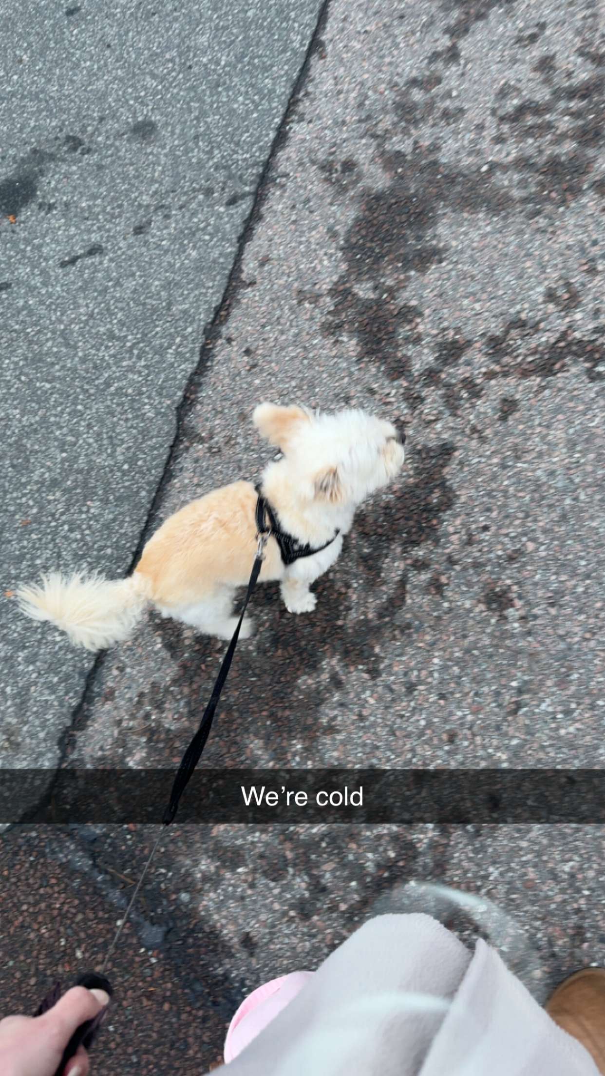 mathilda_bergs snapchat image archive image