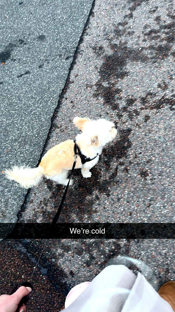 mathilda_bergs image ~ Altpins