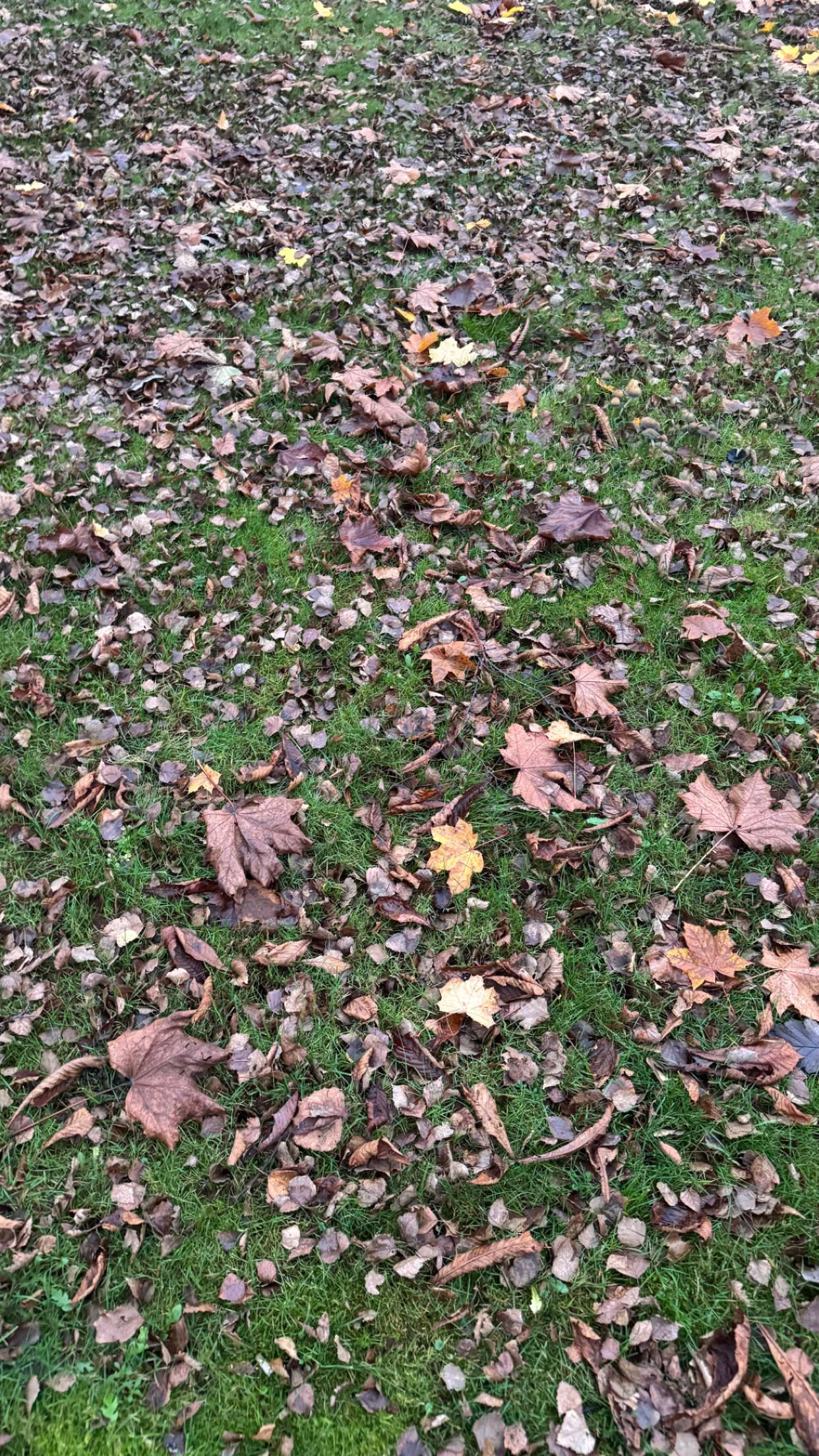 mathilda_bergs snapchat image archive image