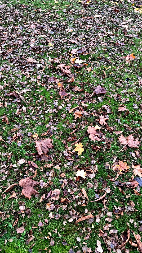 mathilda_bergs image ~ Altpins