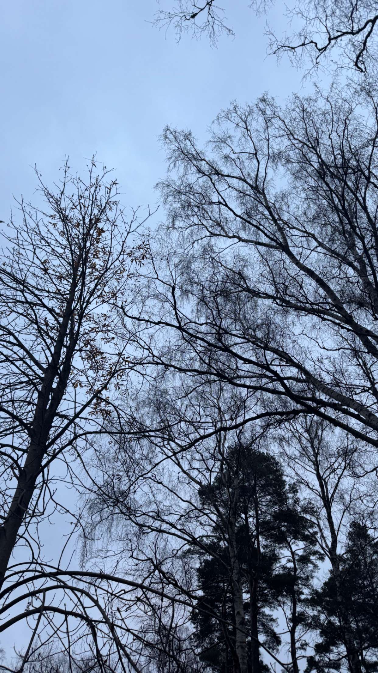 mathilda_bergs snapchat image archive image