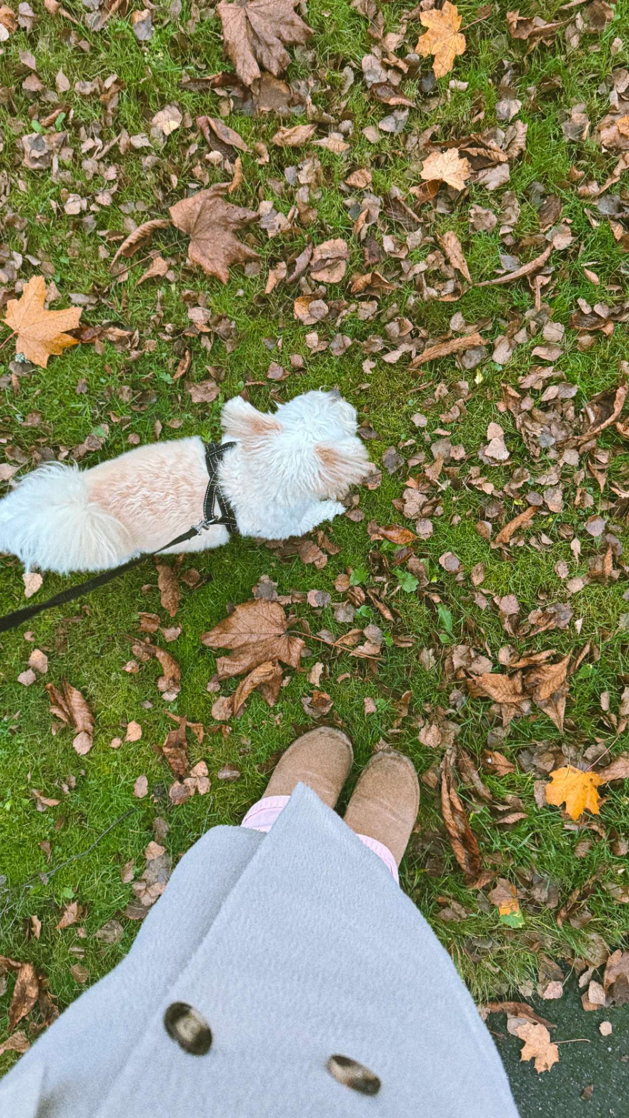 mathilda_bergs snapchat image archive image