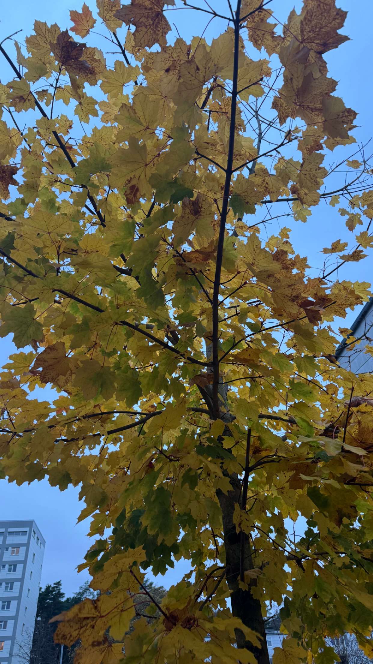 mathilda_bergs snapchat image archive image