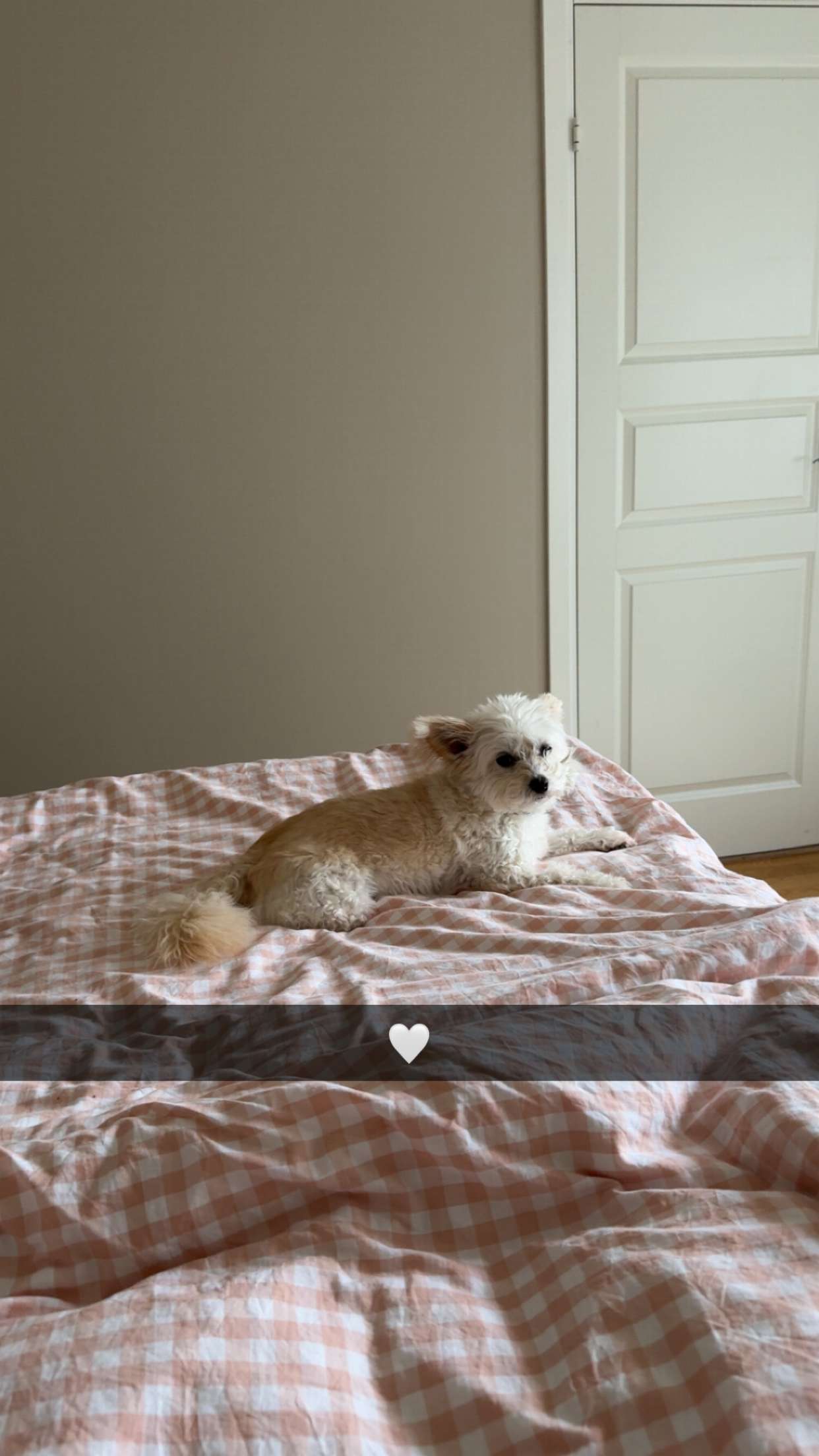 mathilda_bergs snapchat image archive image