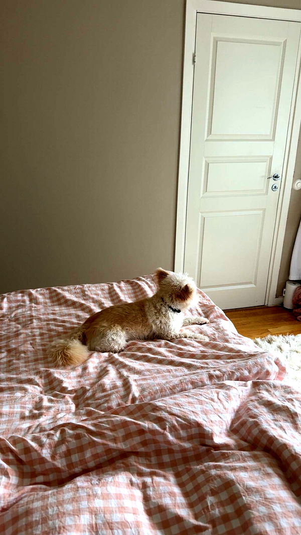 mathilda_bergs image ~ Altpins