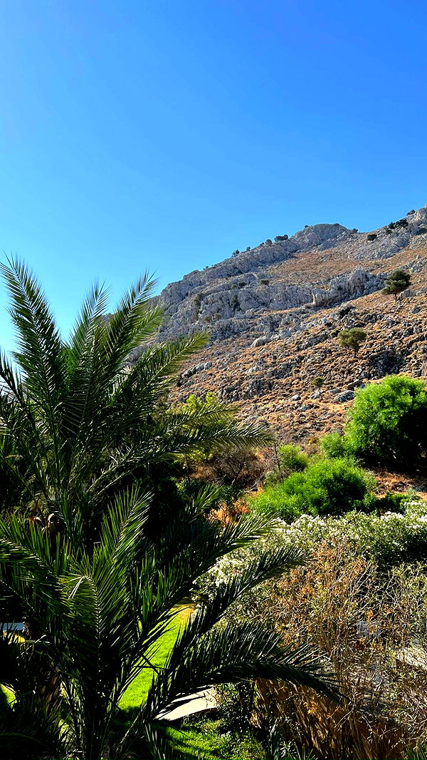 mathilda_bergs image ~ Altpins