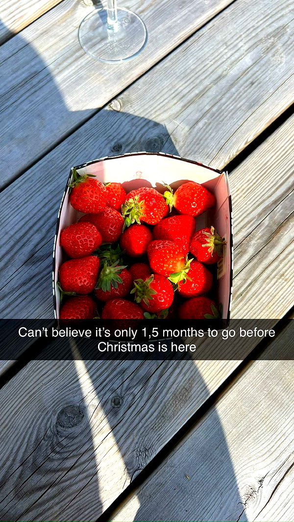 mathilda_bergs image ~ Altpins